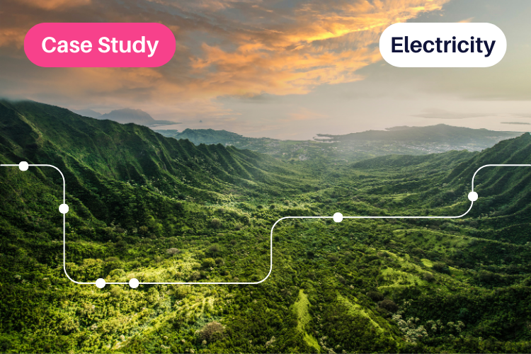 Case Study Schneider Electric Italia